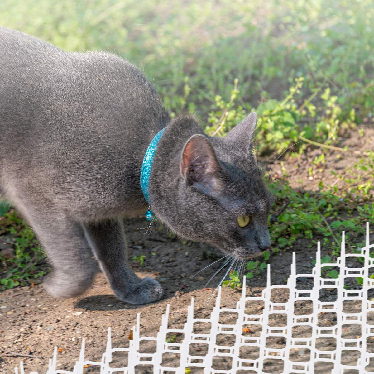 Anti Cat Spike Mats, Set of 12 – Garden Animal Deterrent