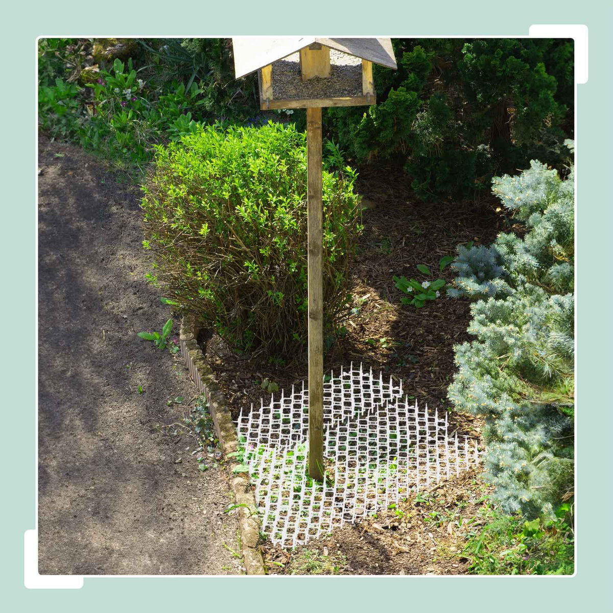Anti Cat Spike Mats, Set of 12 – Garden Animal Deterrent