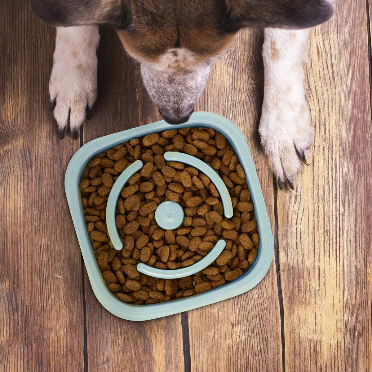 Anti-sling bowl 800 ml