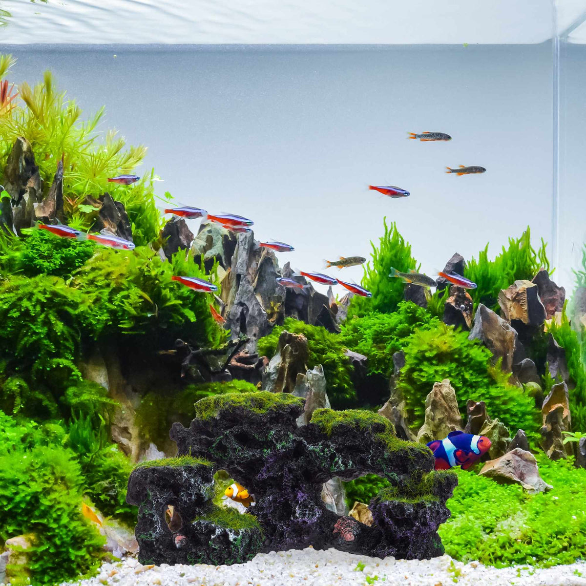 Aquarium decoration, aquarium accessories stone