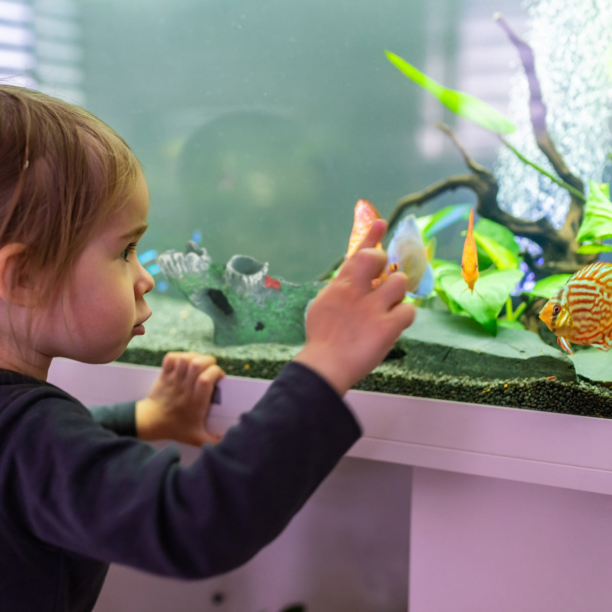 Aquarium decoration tree trunk