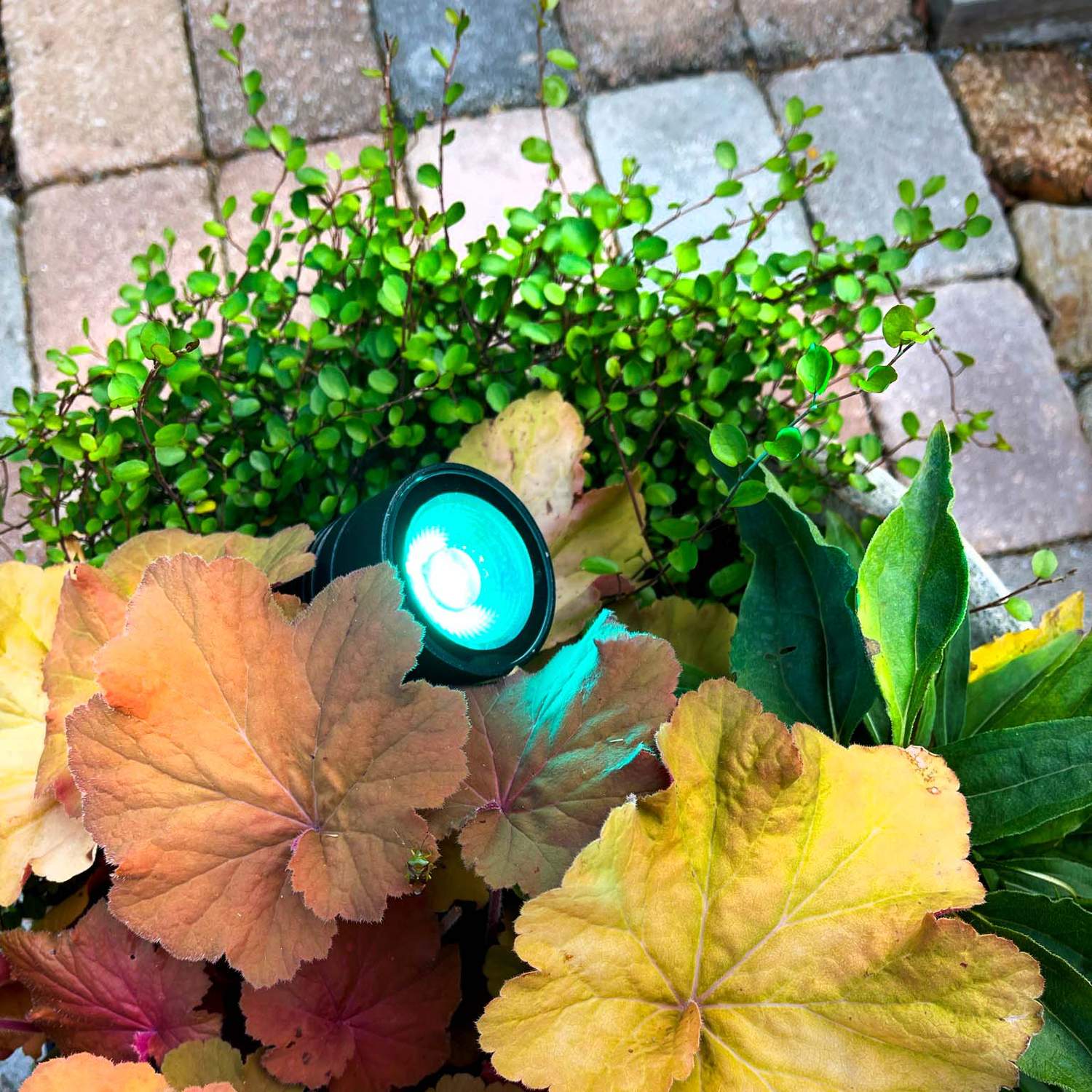 Arcus Garden spot RGB Black