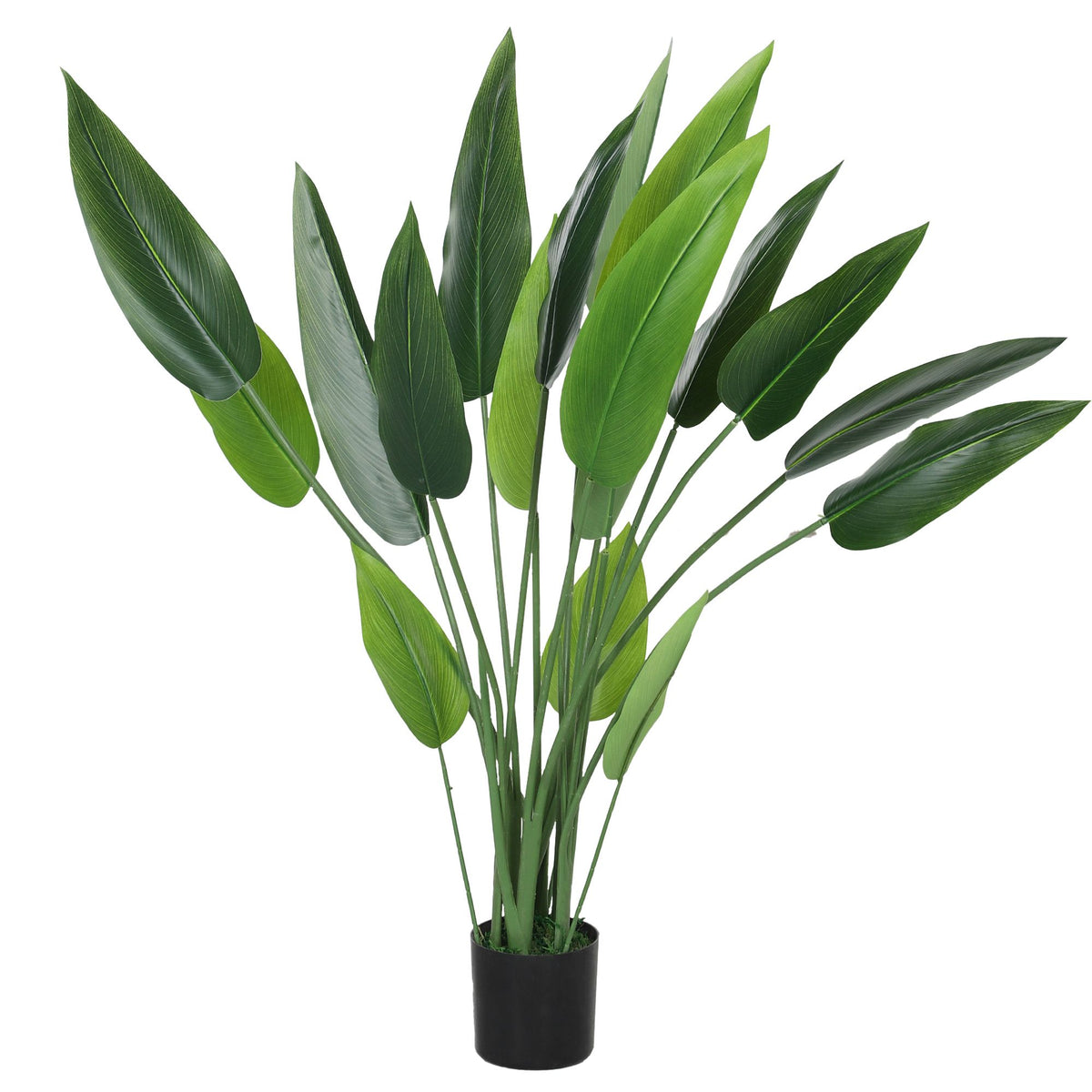 Artificial Bird of Paradise Plant, 110 cm, Cement Pot