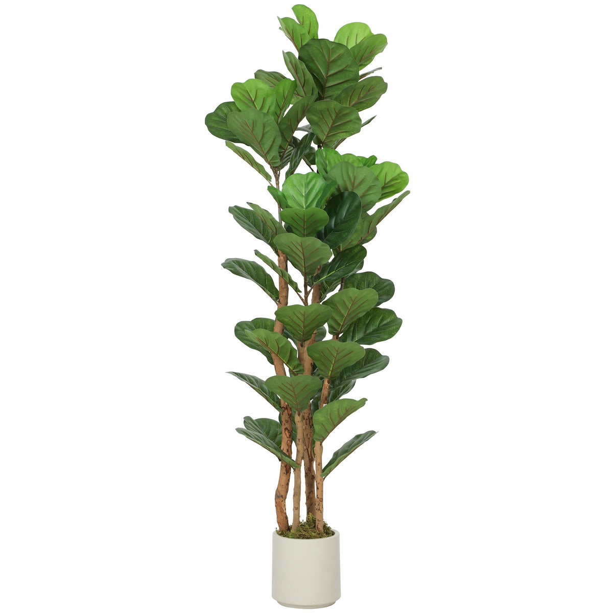 Artificial Fiddle Leaf Fig Tree, 71 Leaves, 150 cm Tall