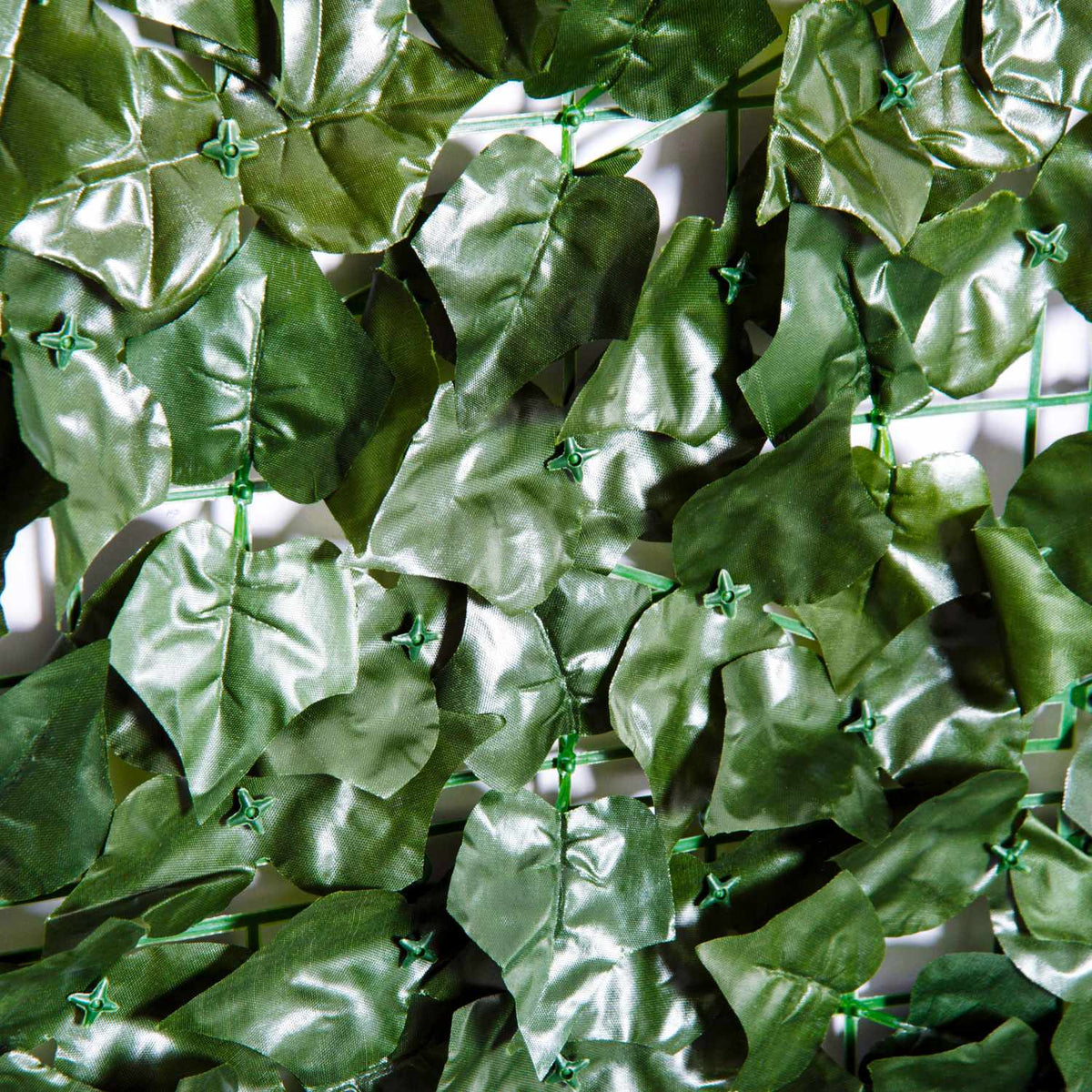 Artificial Hedge Privacy Hedge Plants Hedge Wall Decoration Dark Green 300 X 150 Cm