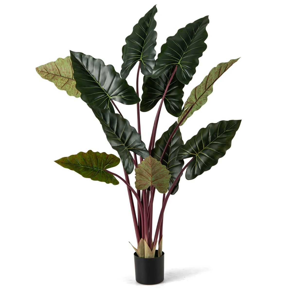 Artificial Rainbow Taro Plant, 160 cm, 11 Leaves