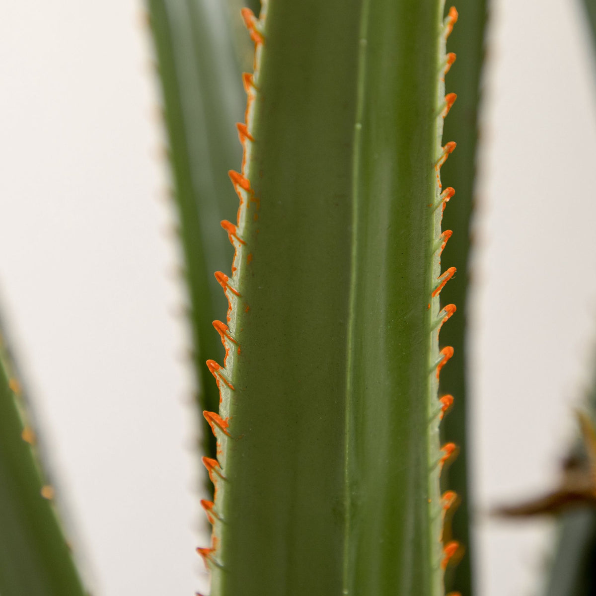 Artificial Yucca Plant, 190 cm, Indoor/Outdoor, Low Maintenance