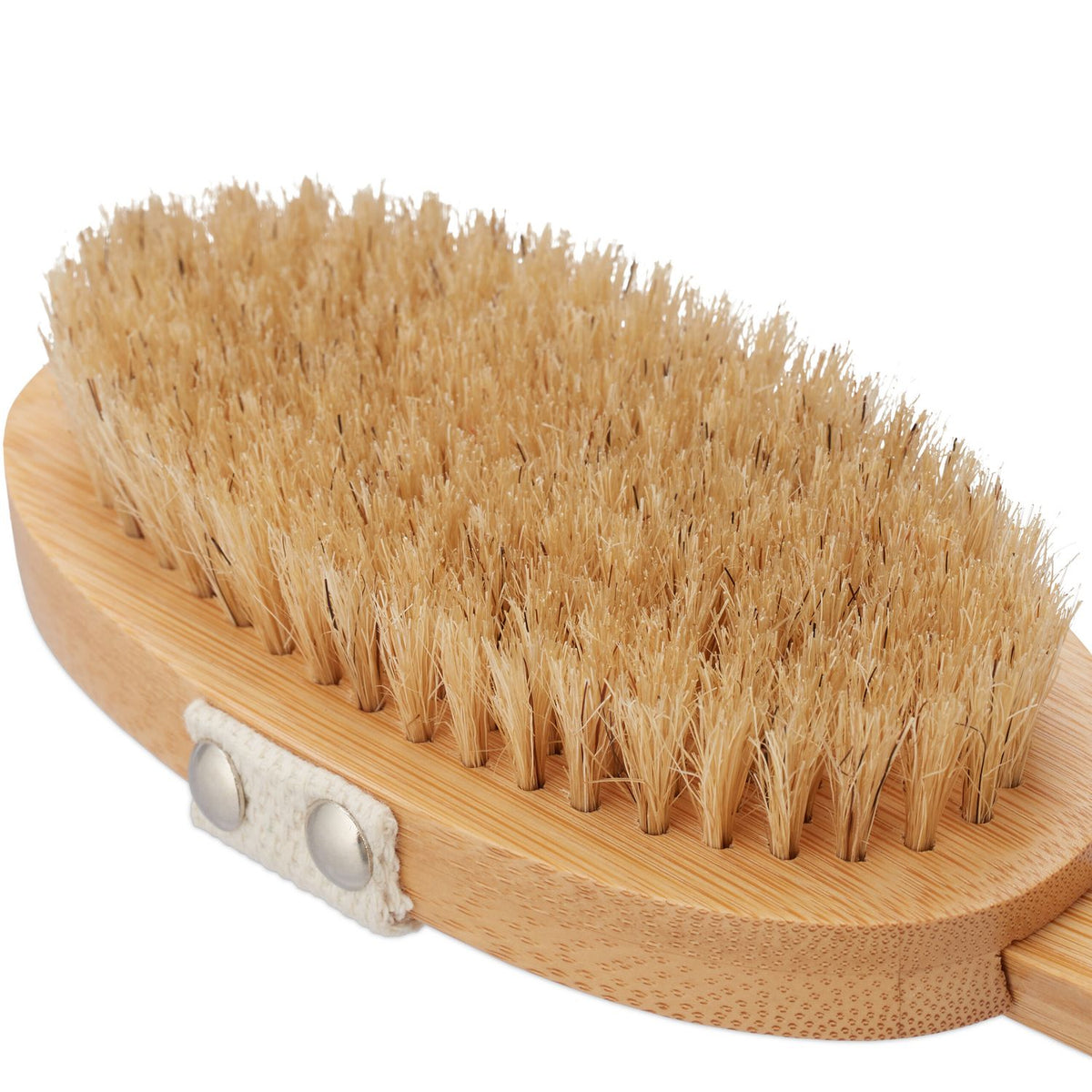 Back brush in set of 6 parts