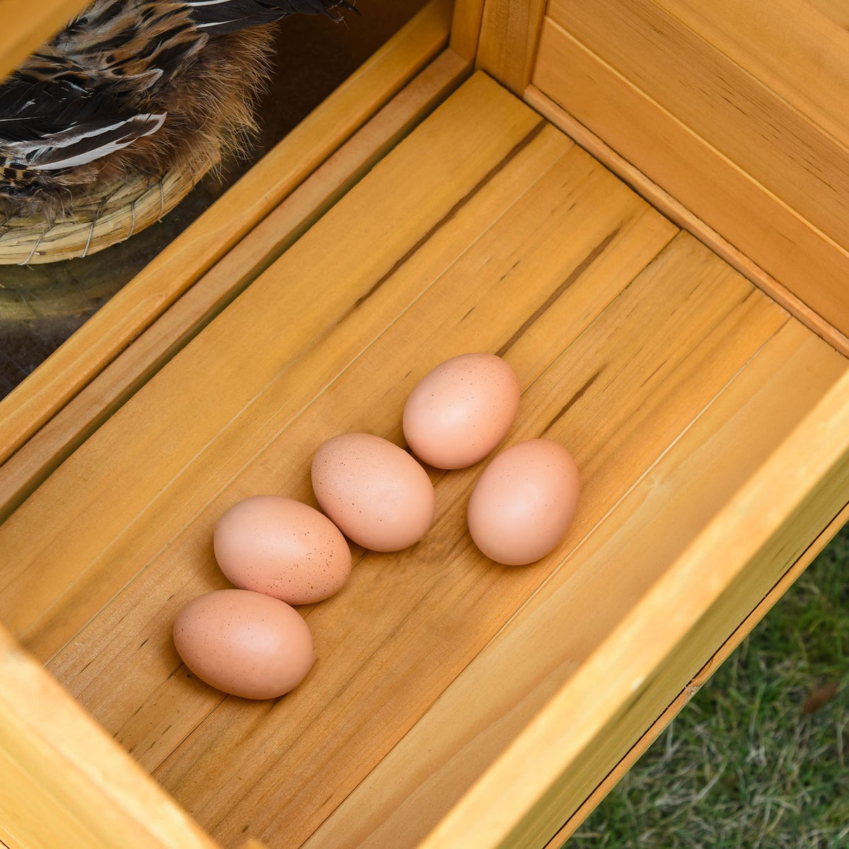 Bantam Chicken Coop Bantam House With Run Poultry House With Bar Window Nesting Box Fir Wood Yellow + Green 168X75X103 Cm