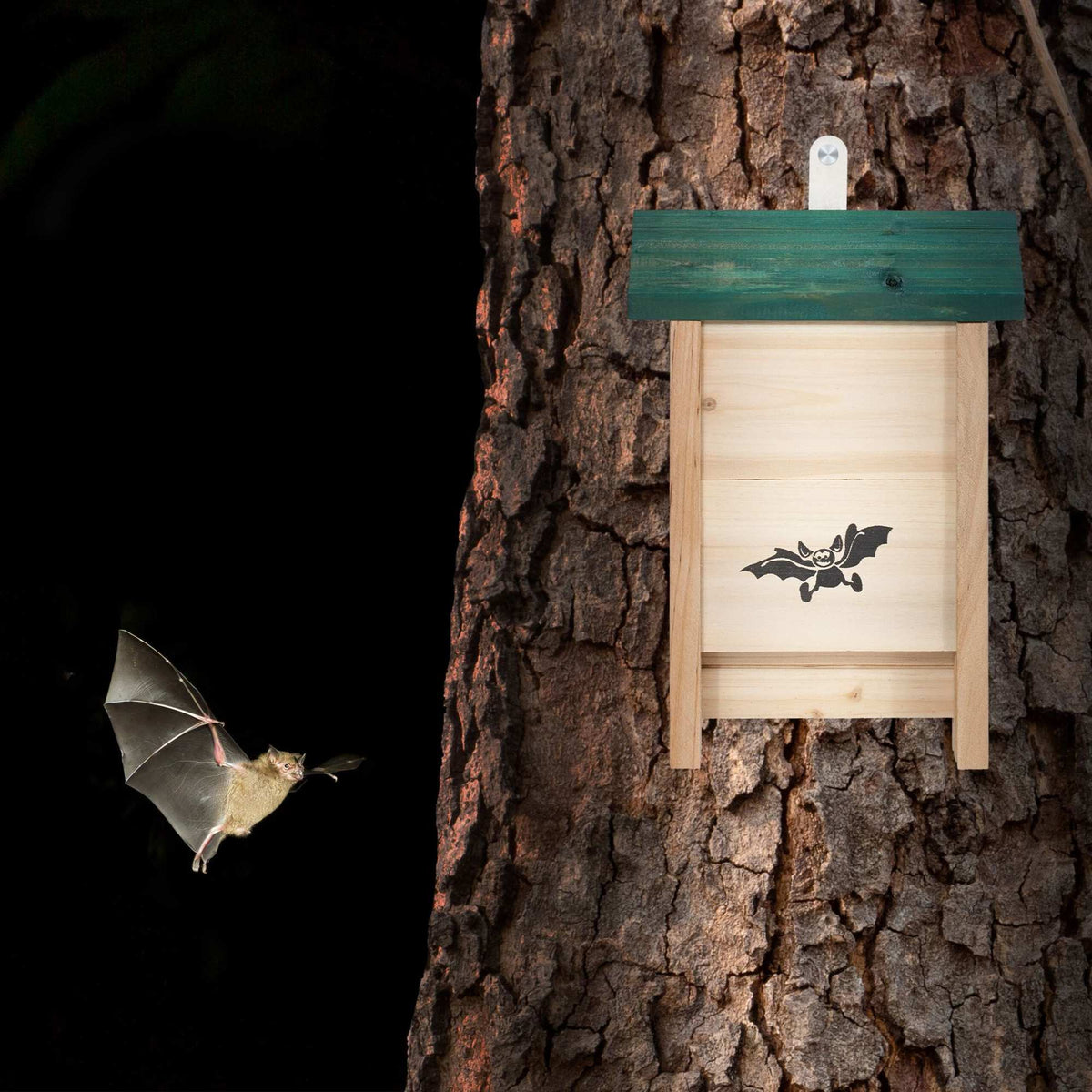 Bat Boxes, Untreated Wood, Set of 4