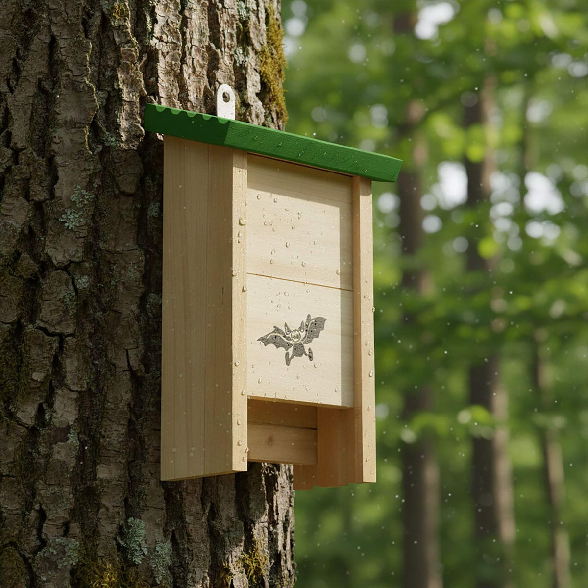 Bat Boxes, Untreated Wood, Set of 4
