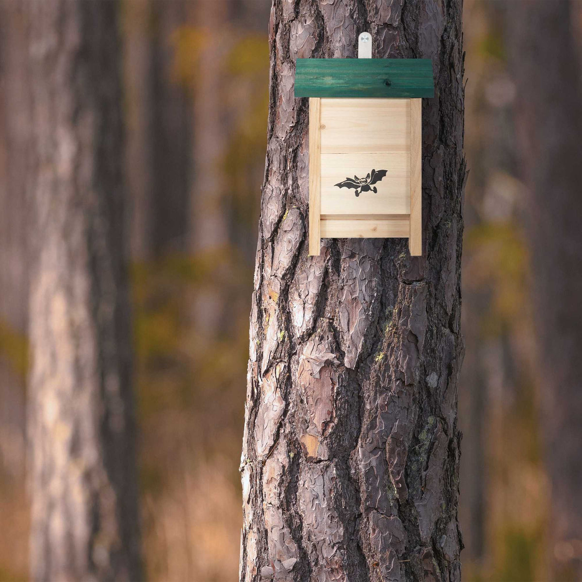Bat house with green roof