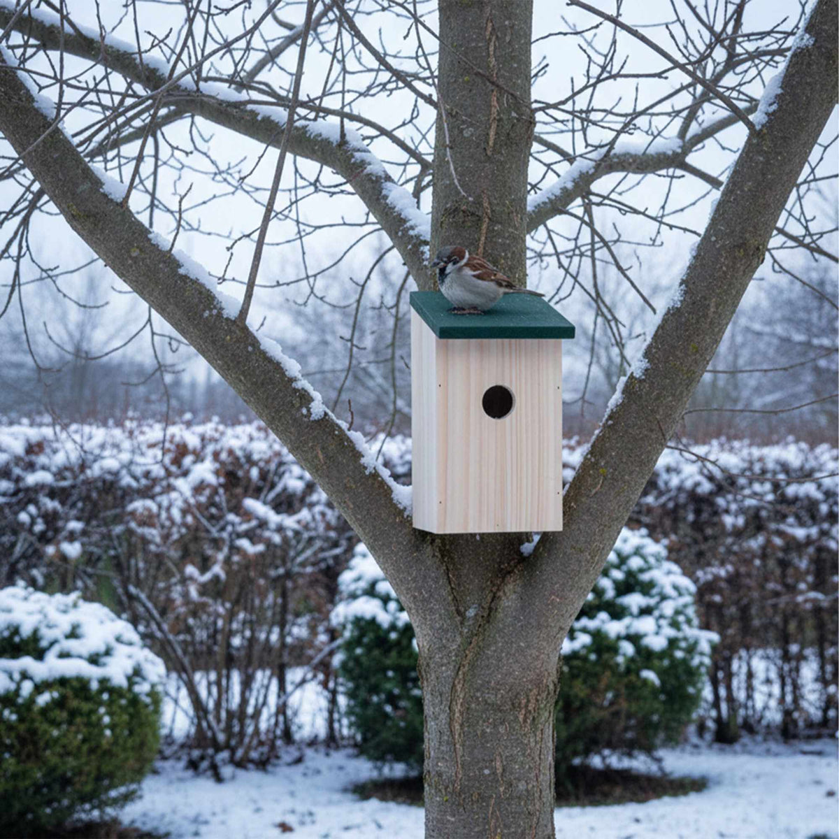 Bird Nesting Boxes Set of 4 – Fir Wood, Easy Clean