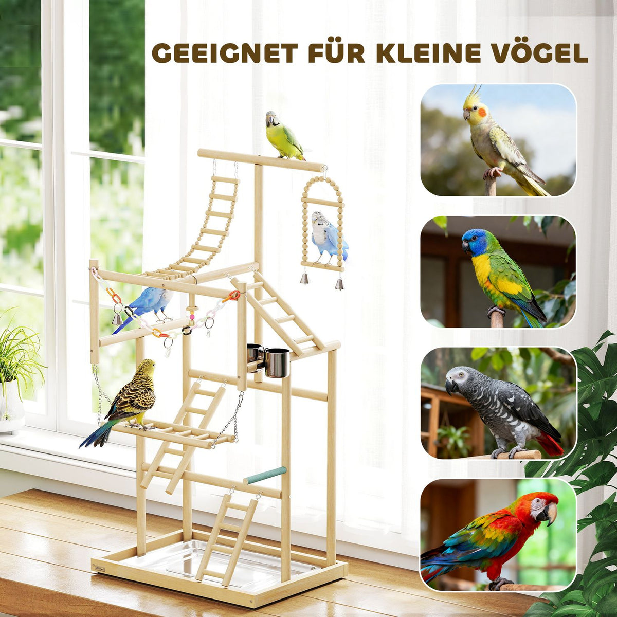 Bird Play Stand, 4 Levels, Stainless Tray, Natural Wood