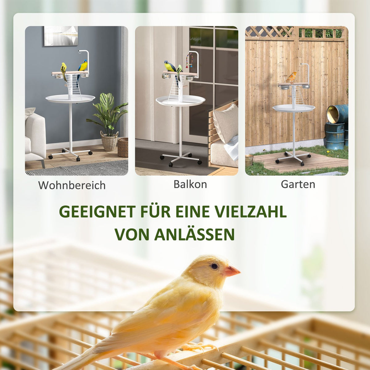 Bird Stand with Feeding Station, Wheels, Perches, Bird Feeder, Bird Feeder with Ladder for Garden, Balcony, Steel, White