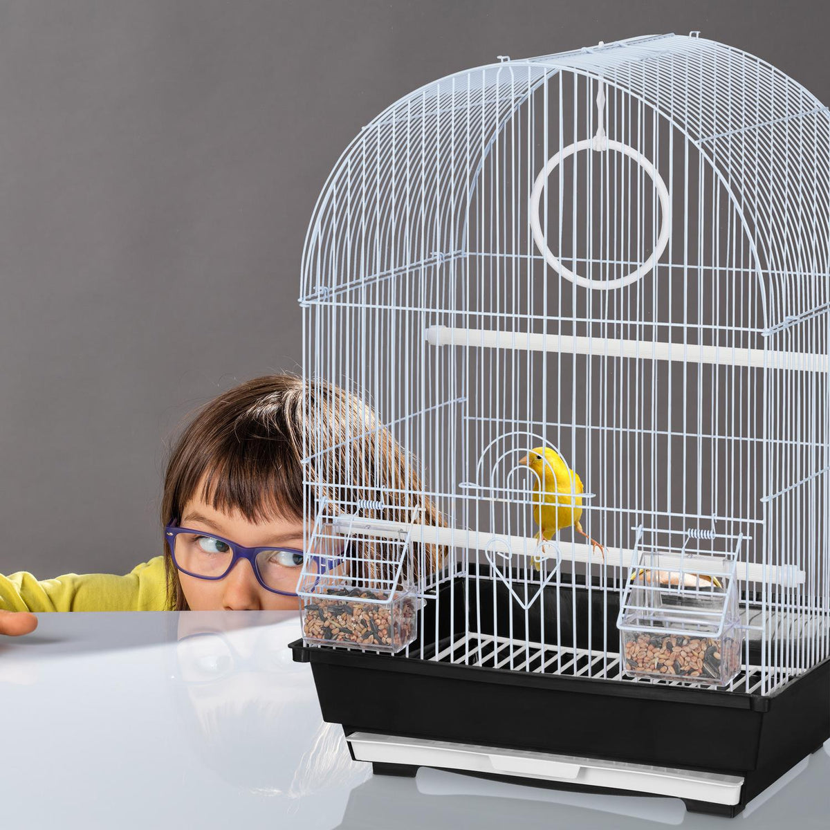 Birdcage with accessories black