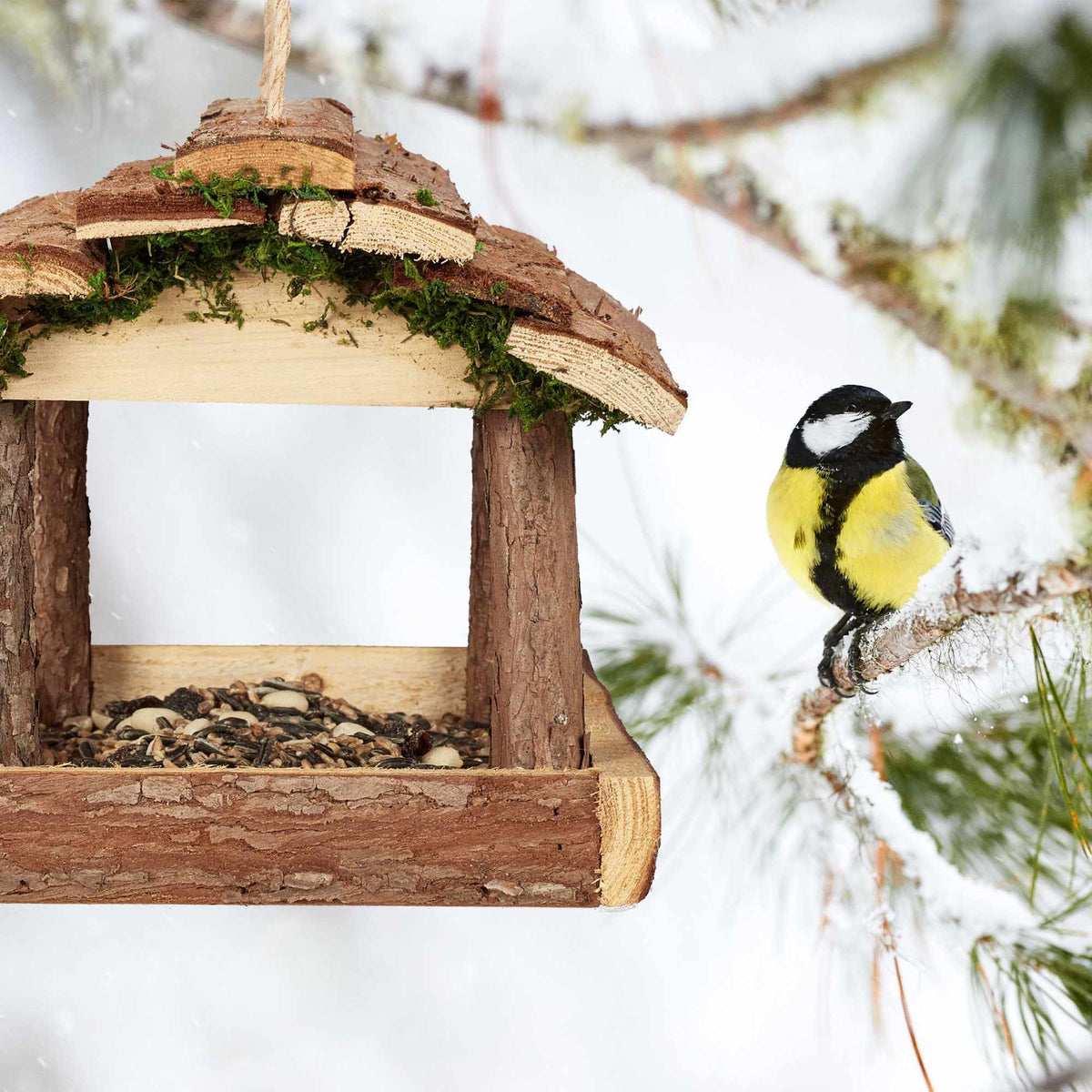 Bird feeder with bark