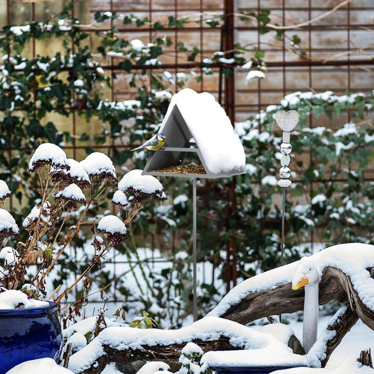 Bird feeder with ground spike