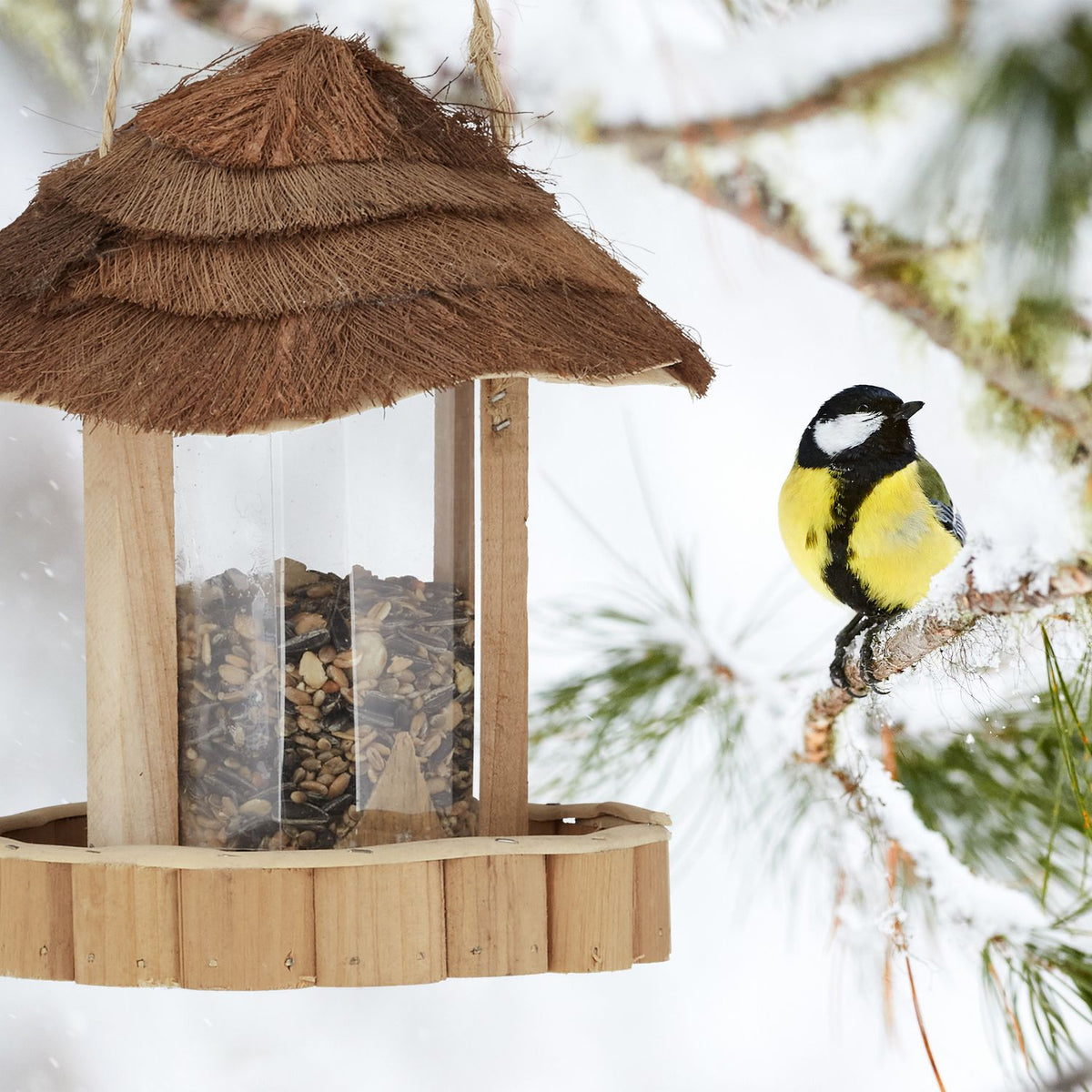 Bird feeder wood