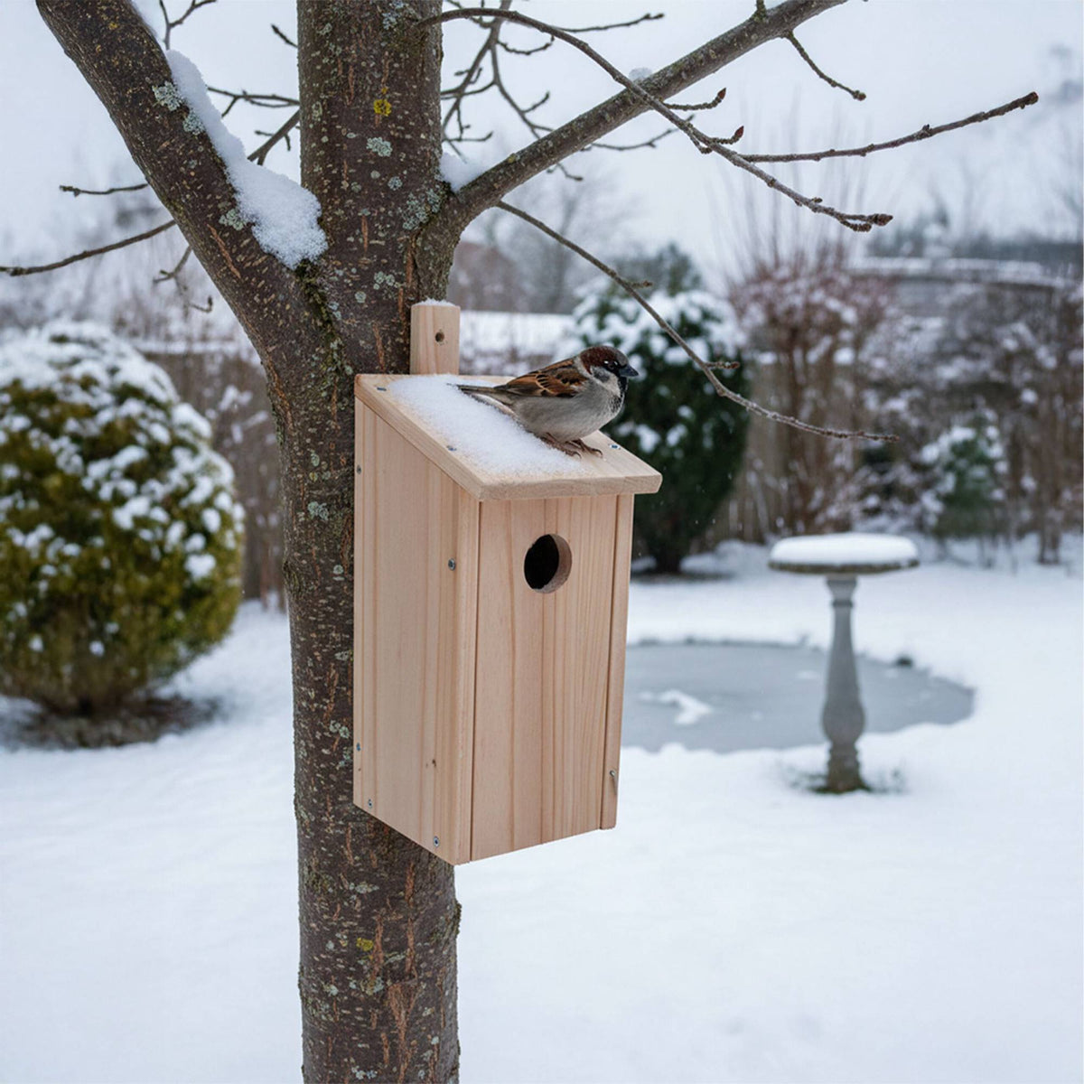 Birdhouse Kit Set, Fir Wood, For Tits & Sparrows