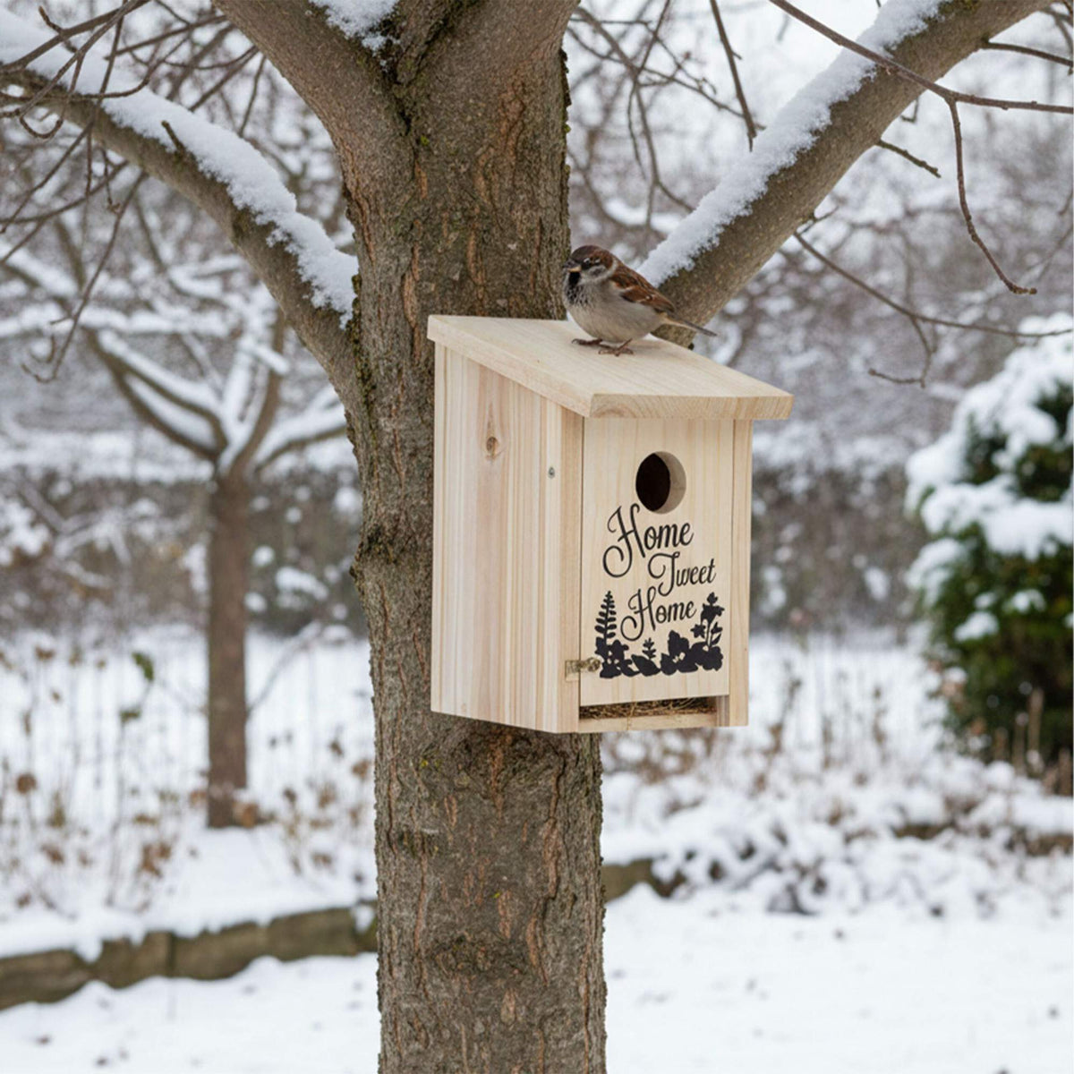 Birdhouse for Small Birds, Red with Green Roof