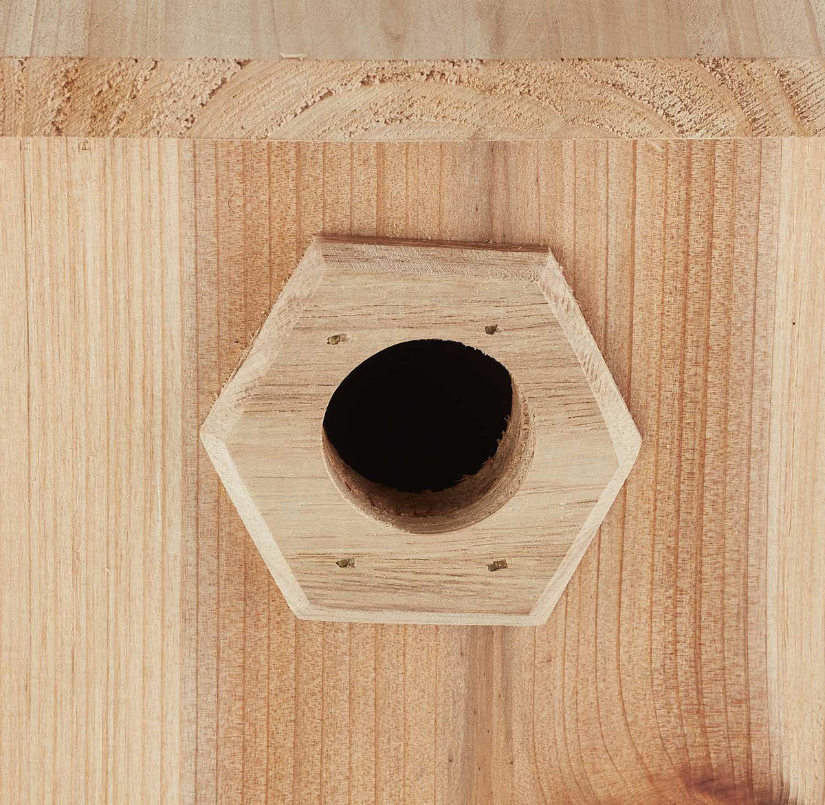 Birdhouse wood