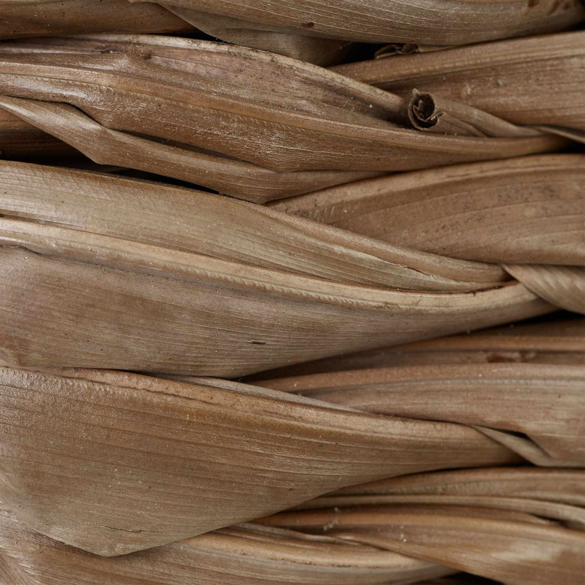 Bird nests in different designs