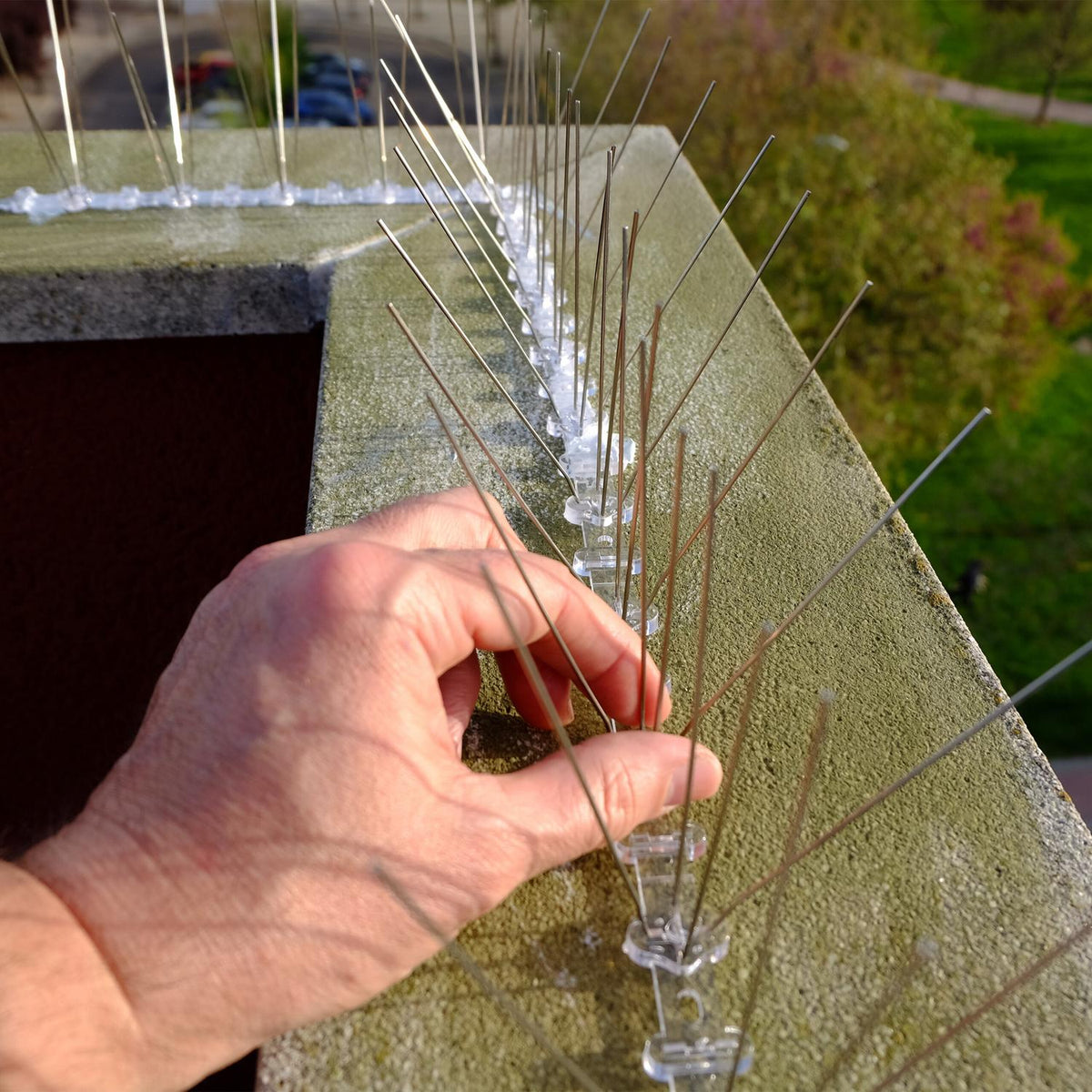 Bird repellent spikes, set of 6