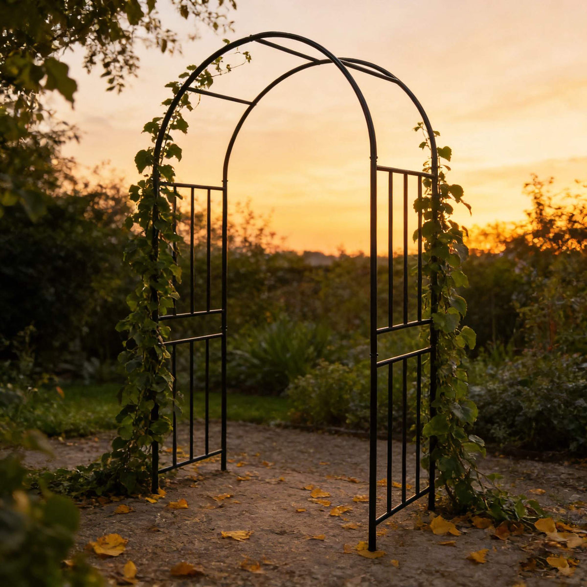 Black Metal Garden Arch for Climbing Plants
