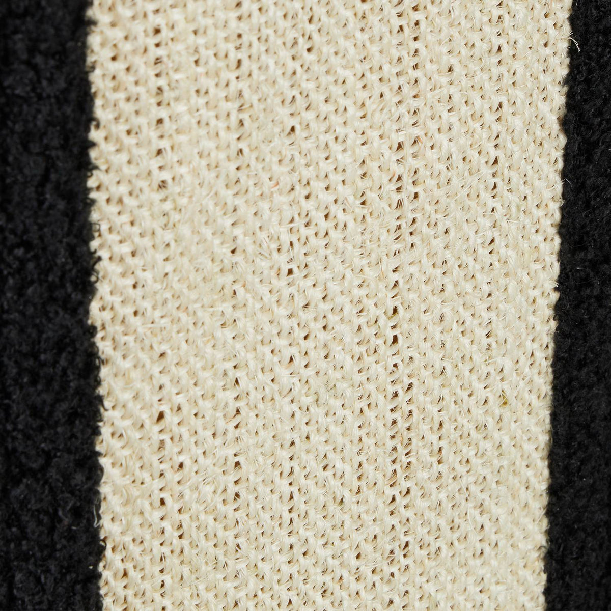 Black cat hide with scratching surface