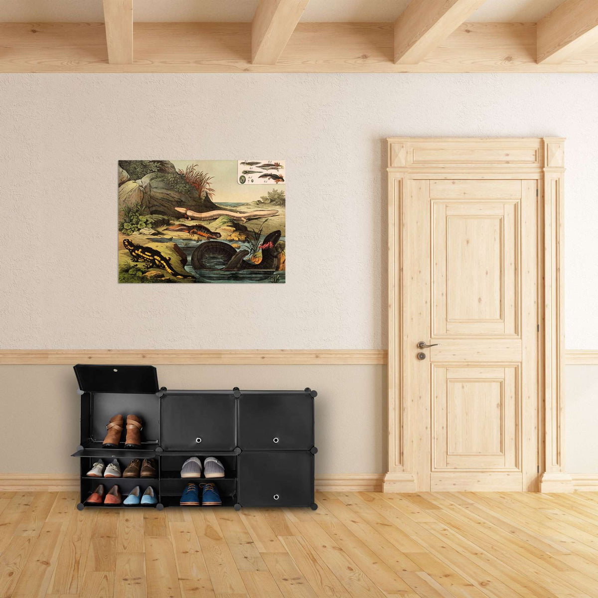 Black shoe cabinet with 12 compartments