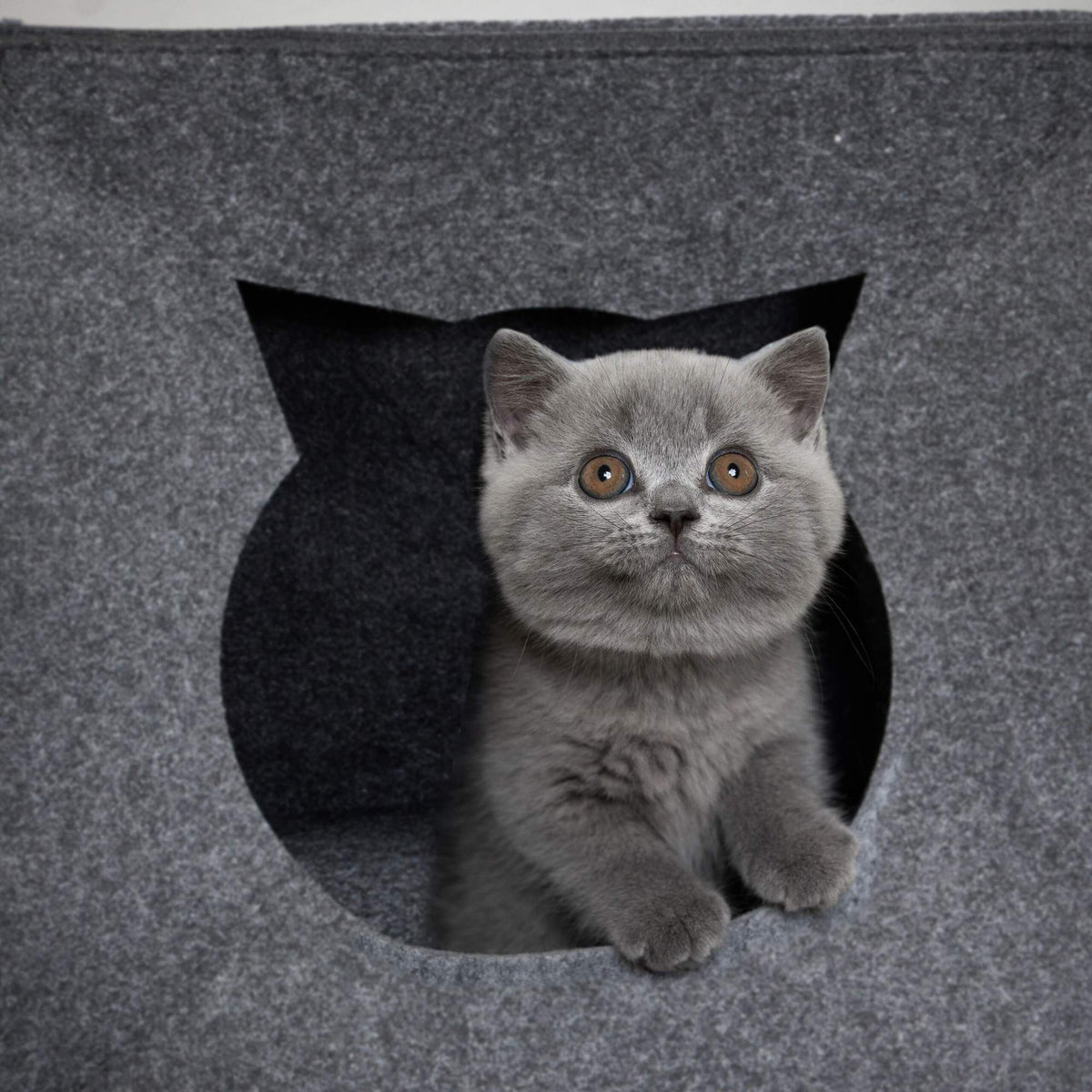 Blanket for cat cave
