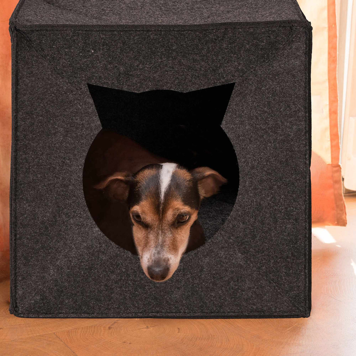 Blanket for cat cave