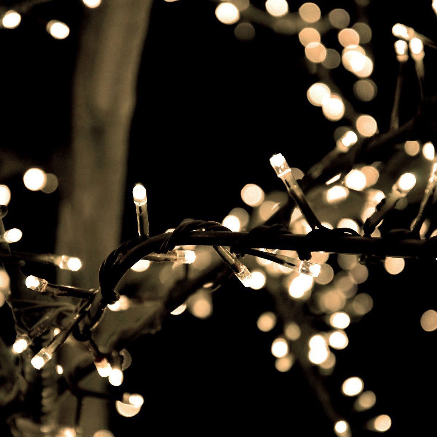 Bliss 5m light string 500 small lights in clusters