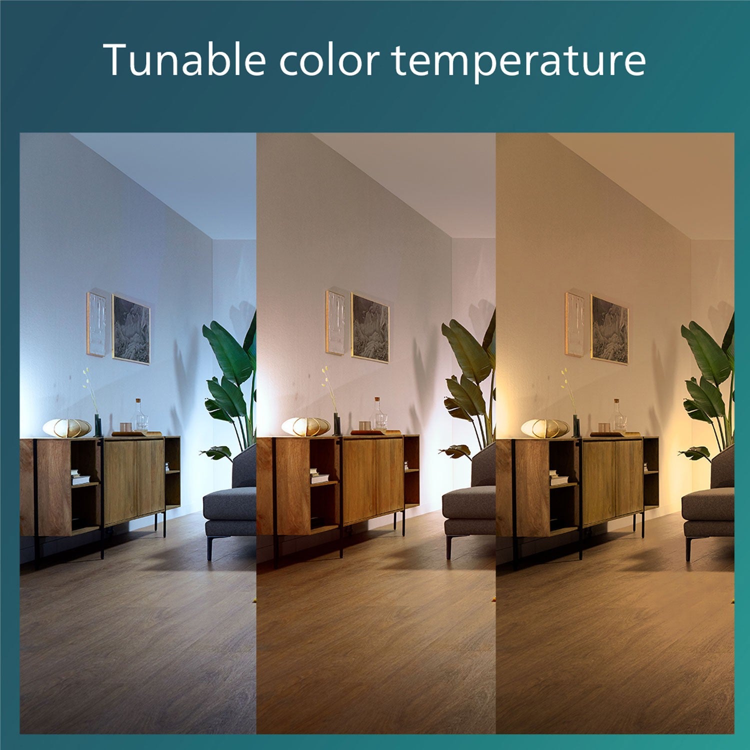 Bliss Ceiling fan with LED lighting Warm/cool white 4500 lm