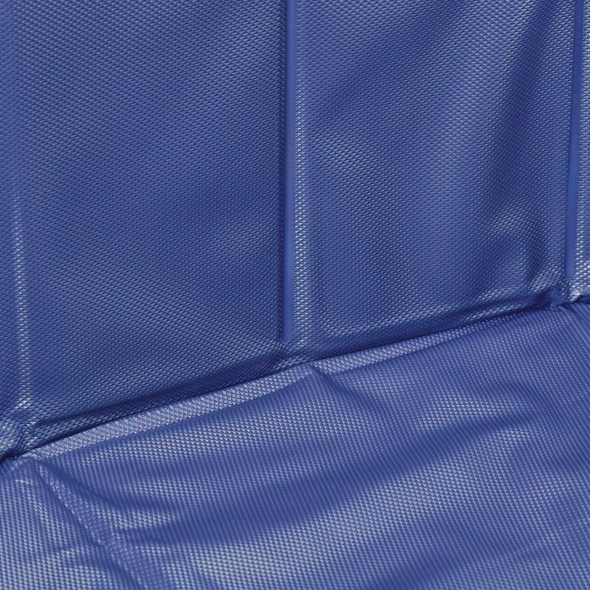 Blue dog pool