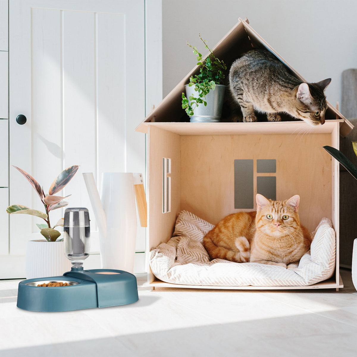 Blue food bowl with water dispenser