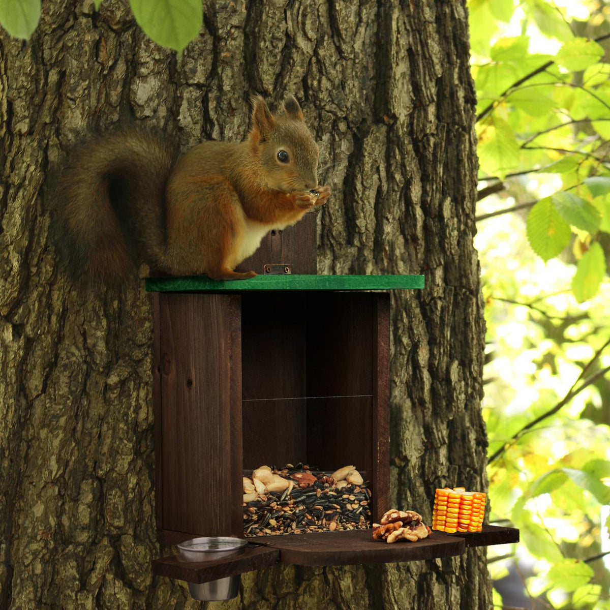 Brown squirrel feeder with bowl