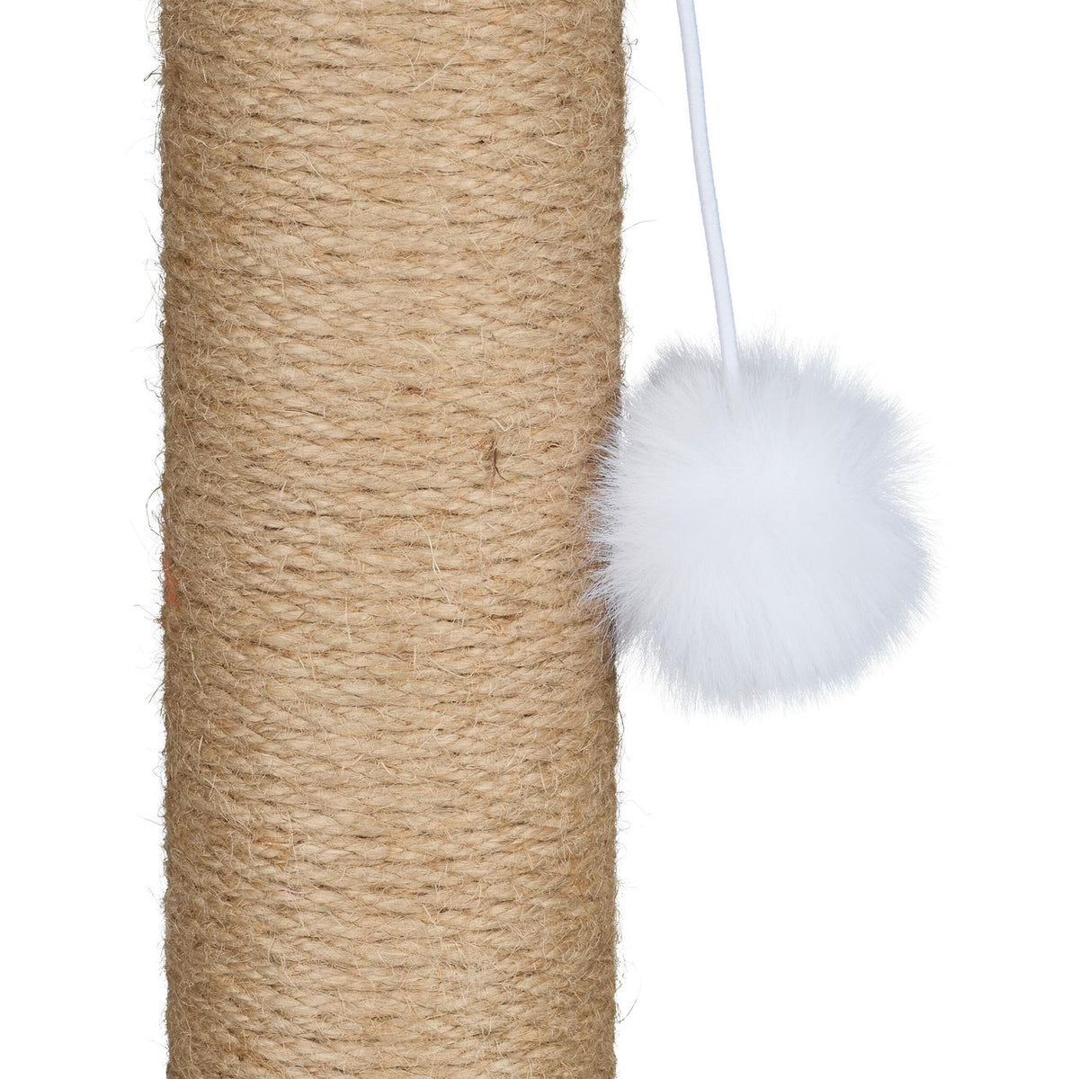 Cactus scratching post