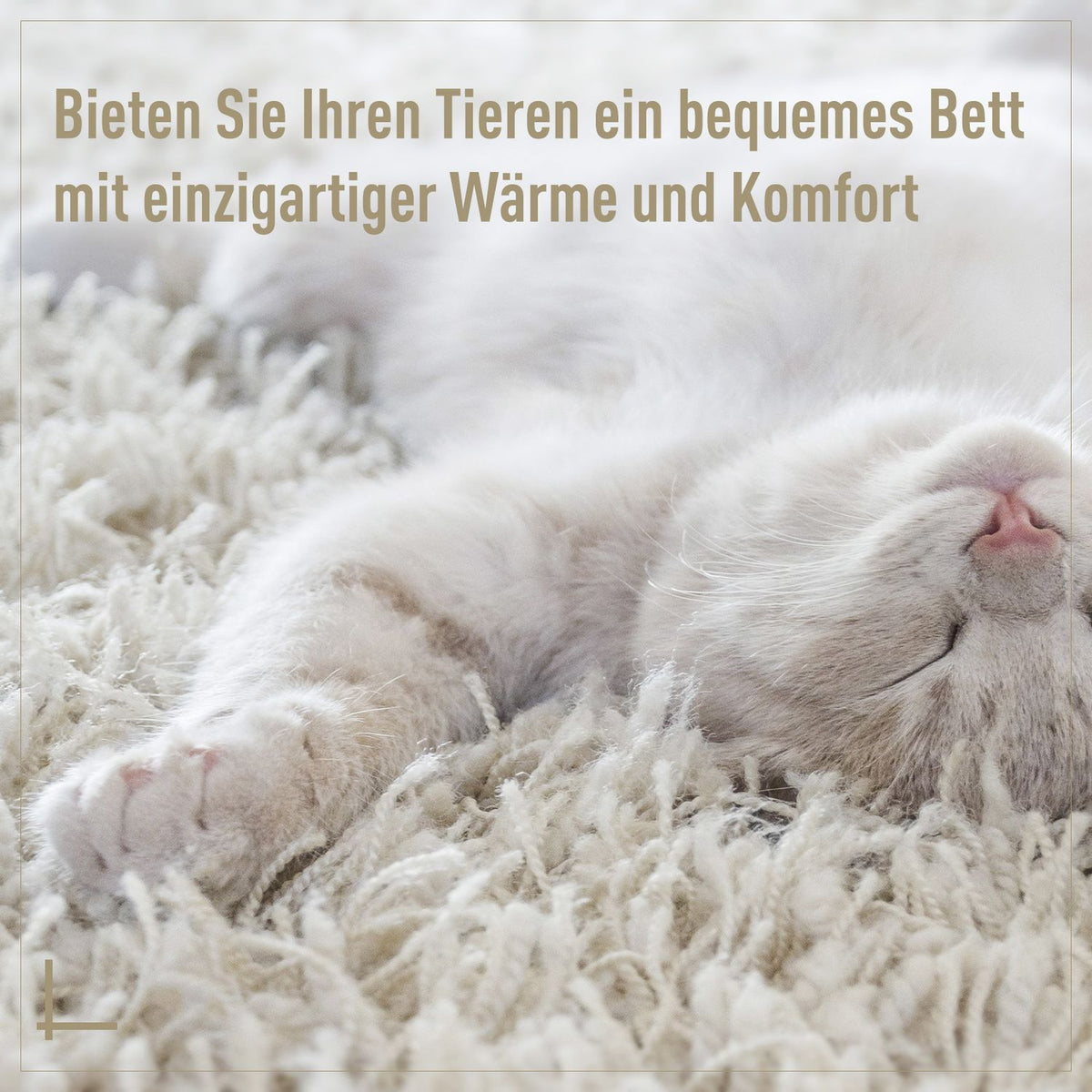 Cat Bed Made Of Rattan Comfortable Cat Cave With Cushion, Cat Basket & Dog Bed, Beige, Ø56X35Cm