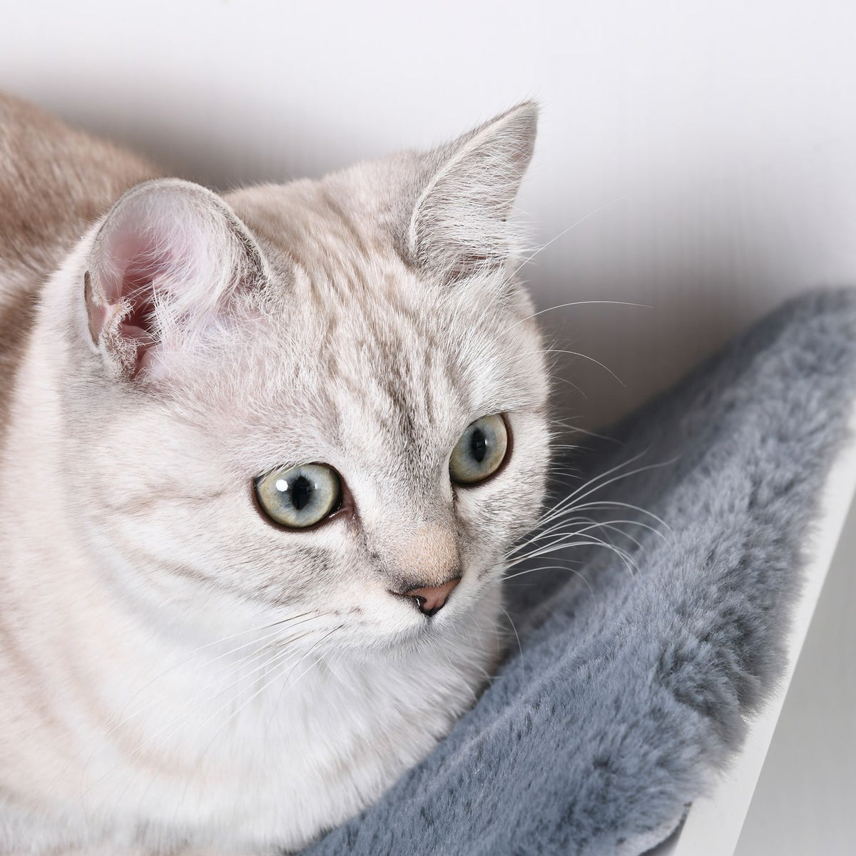 Cat Bed Wall Mounted Stylish Wall Lounger For Cats, Plush Cushion, Mdf, Easy Installation, White + Gray, 41X28X21Cm