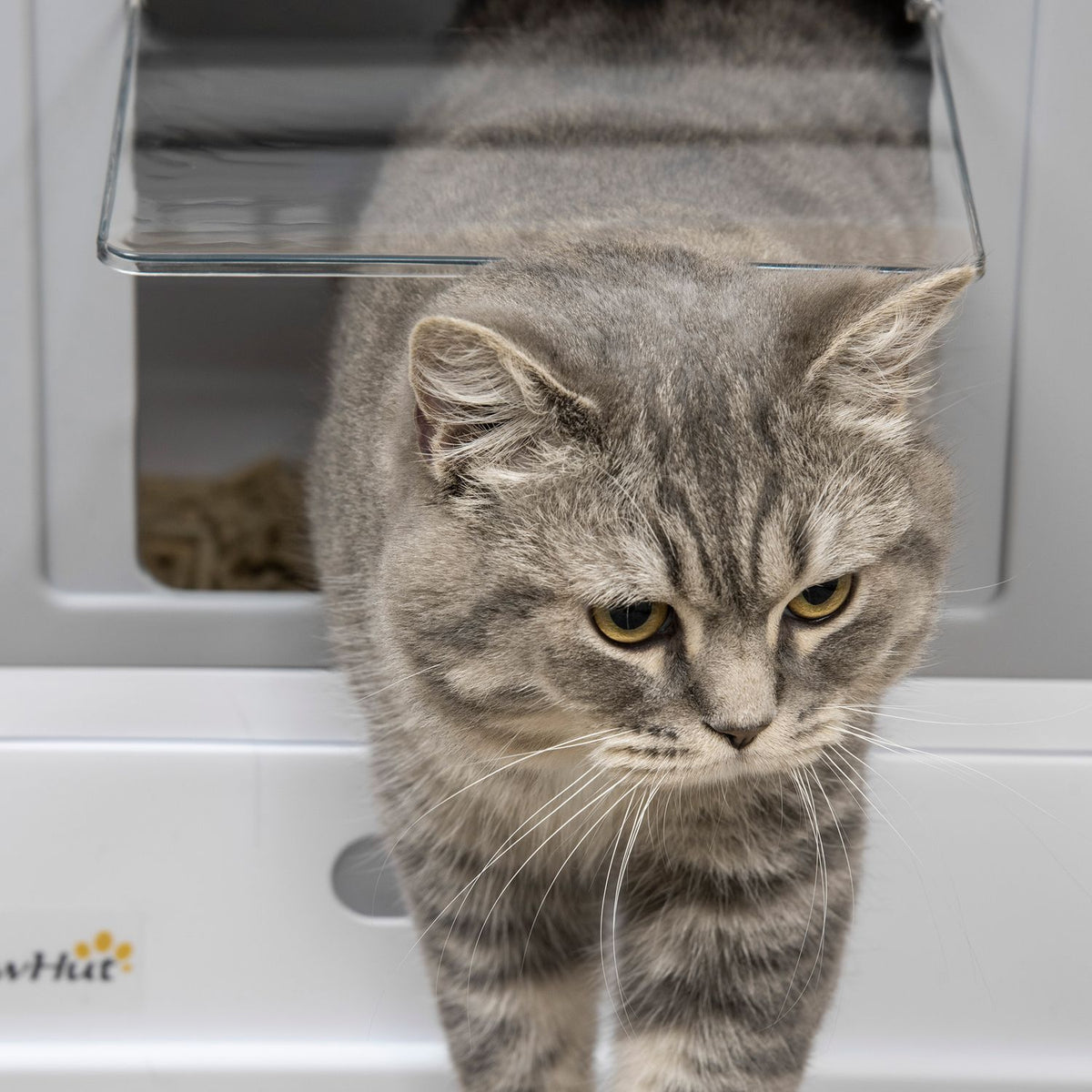 Cat Litter Box With Lid Cat House With Base Tray And Scoop Deodorization Box Plastic White + Gray 47.5 X 35.5 X 36.7 Cm