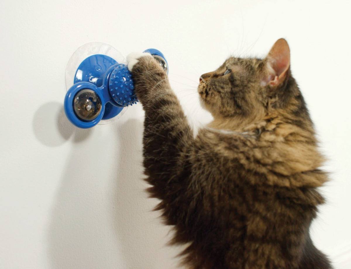 Cat Toy Spinner – Interactive Fun for All Cats