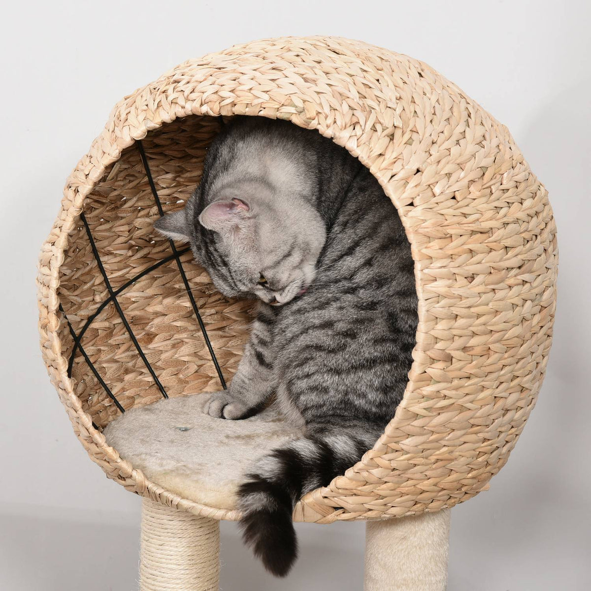 Cat Tree Scratching Post Kitten Furniture With Cat Cave Ball Toy Sisal Soft Plush Beige Height 100Cm