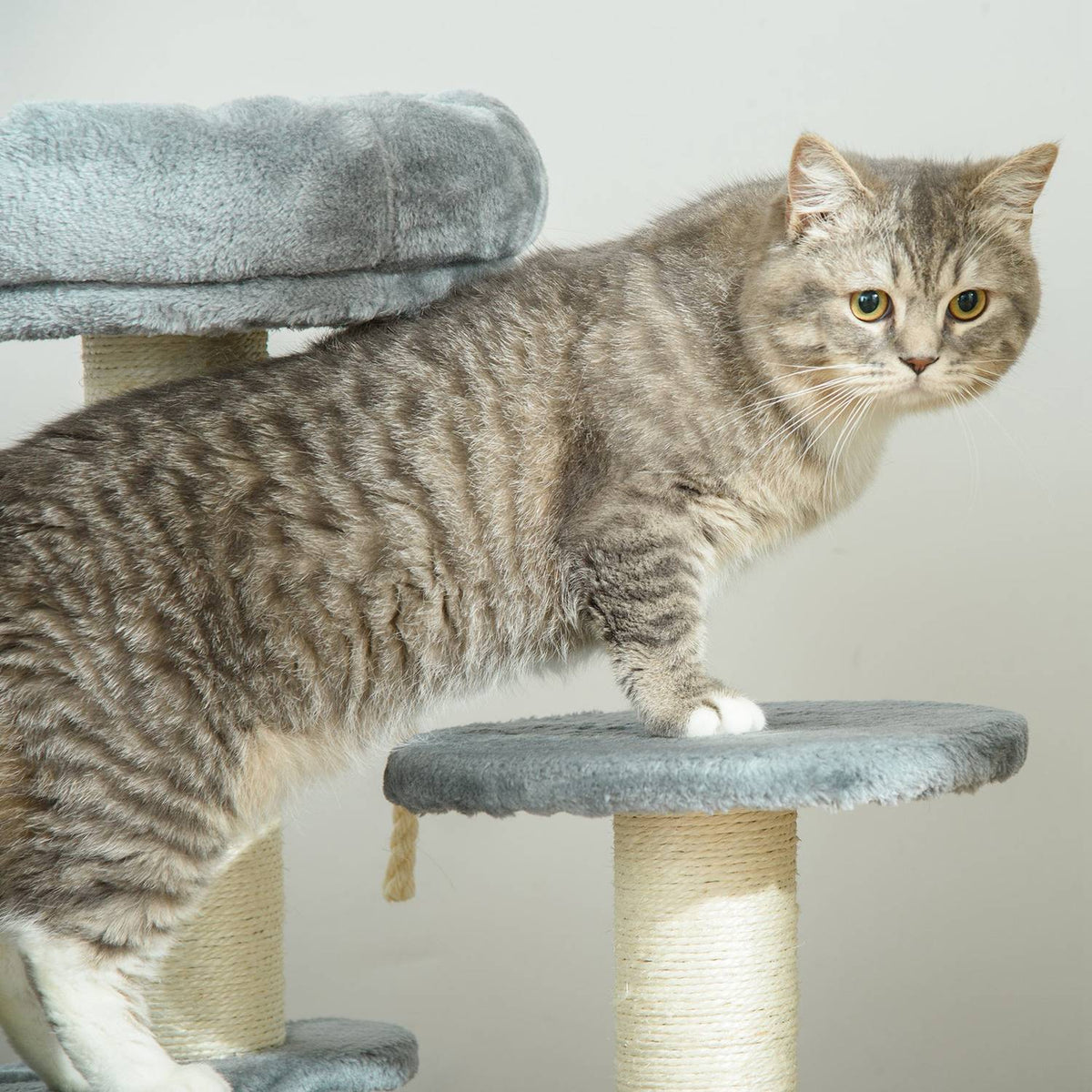 Cat Tree With Hammock 3-Tier Play Tree With Sisal Columns, Gray, Ø40Xh65 Cm