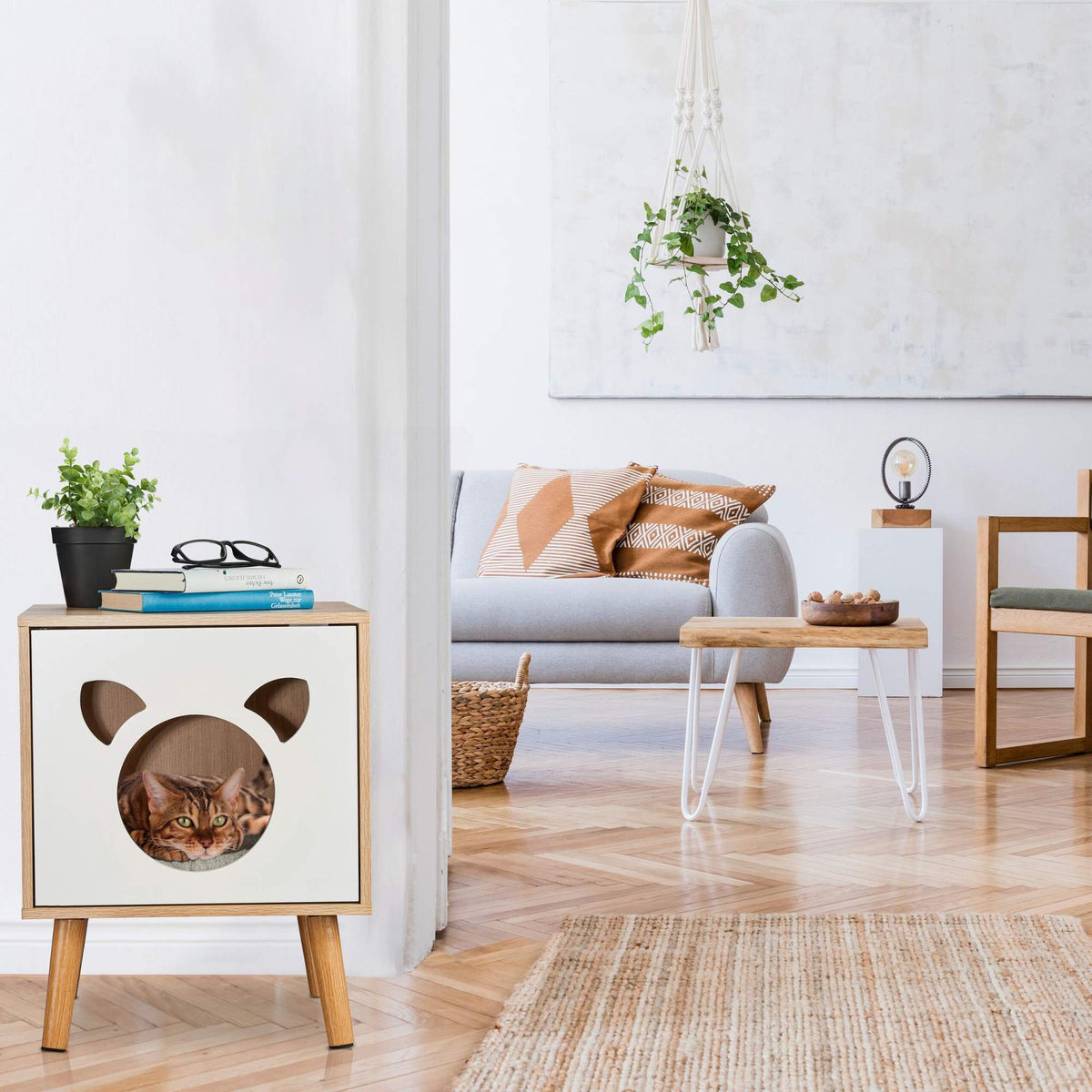 Cat cabinet with hinged door