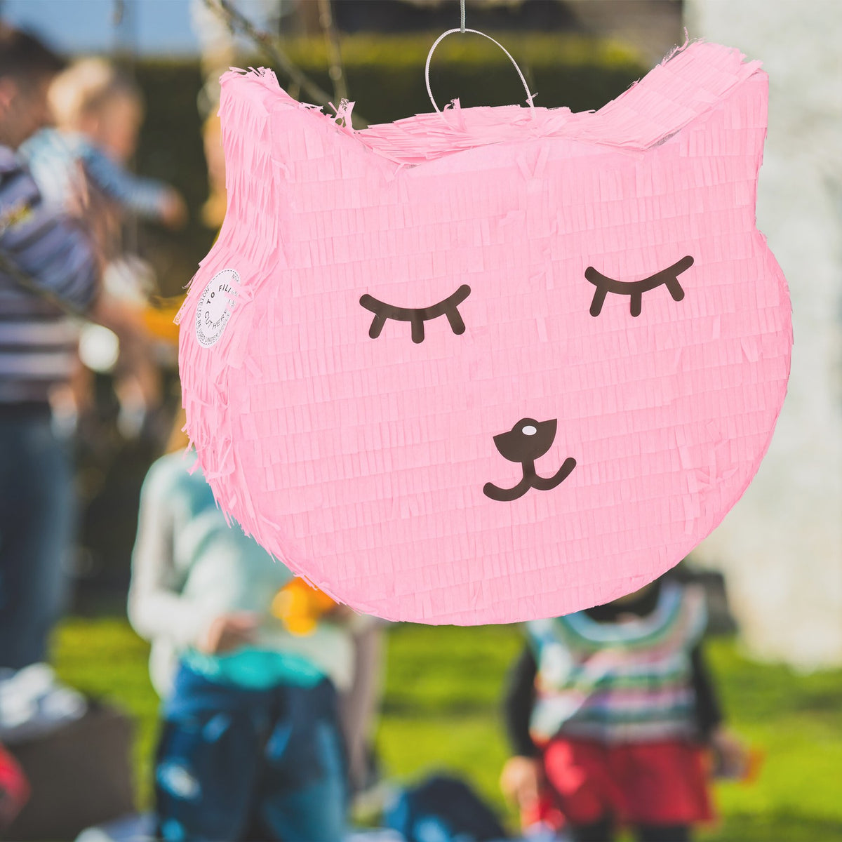 Cat pinata with lollipop and worm