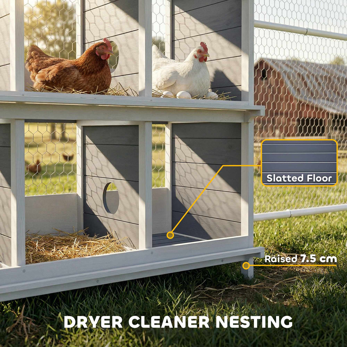 Chicken Nesting Box, 6 Compartments, Wooden, 2 Perches