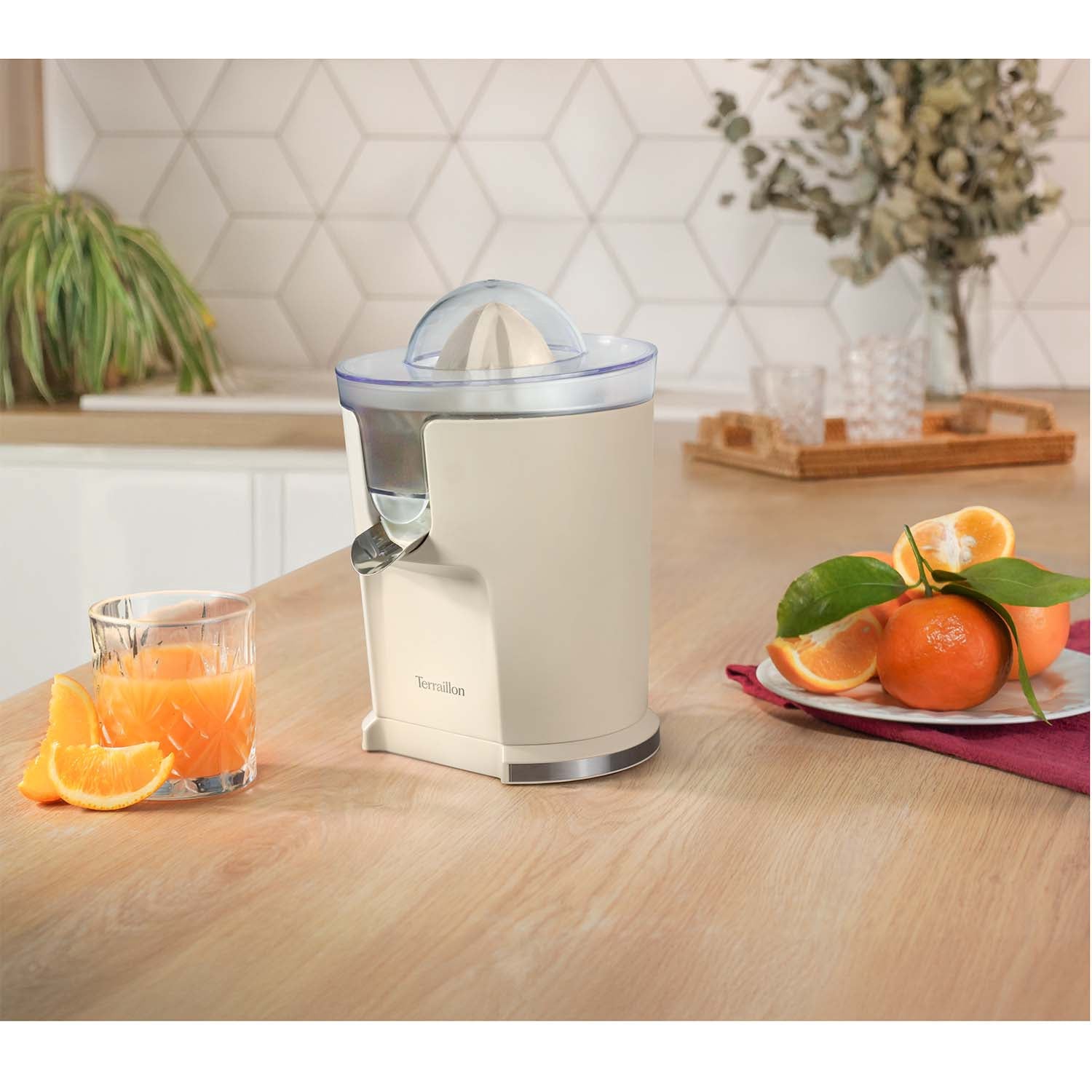 Citrus Juicer 160W – Stainless Steel, Dual Cones