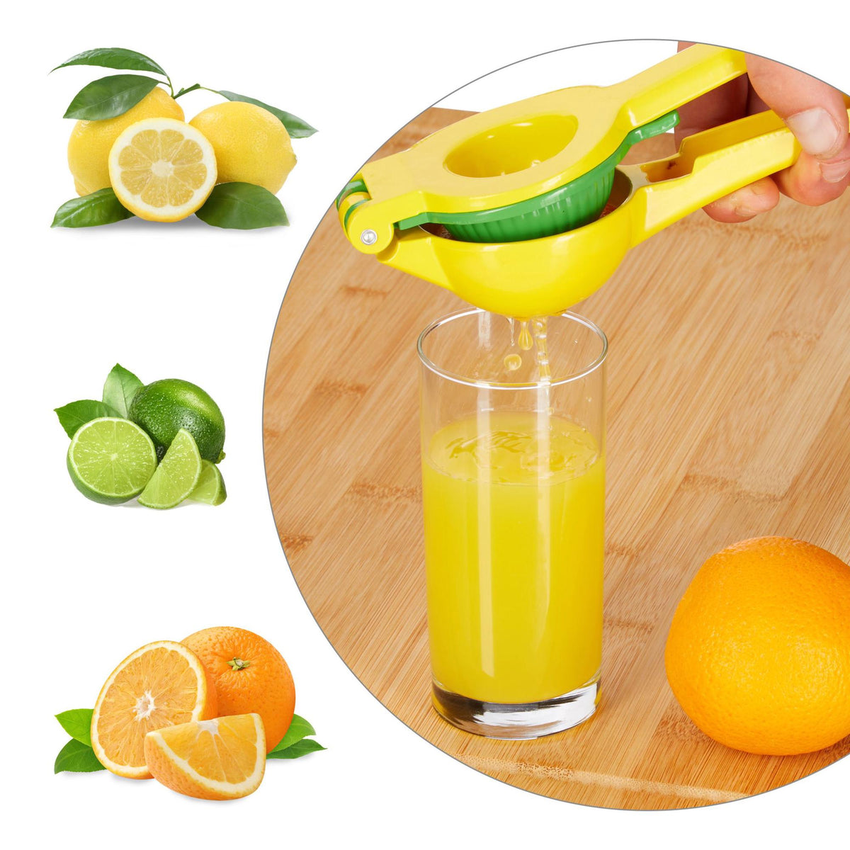 Citrus press 2 parts